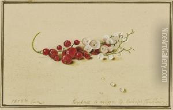 Tolstoi Red And White Currants Oil Painting - Fedor Tolstoy Petrovich