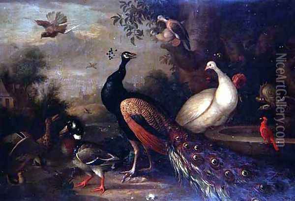 Exotic Birds Oil Painting - Tobias Stranover
