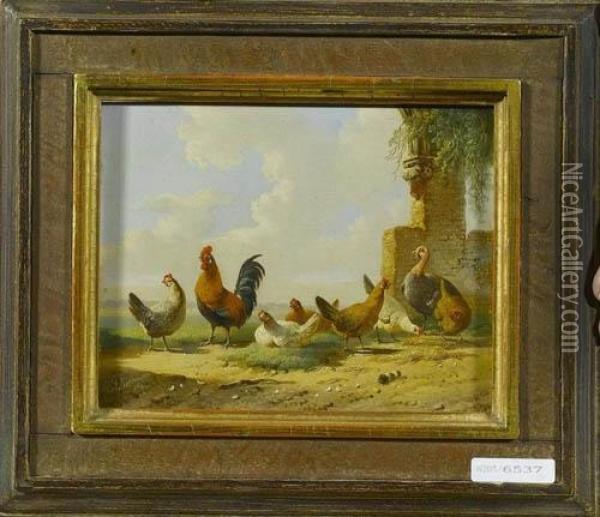 Huhner Auf Dem Hof. 1869. Oil Painting - Albertus Verhoesen
