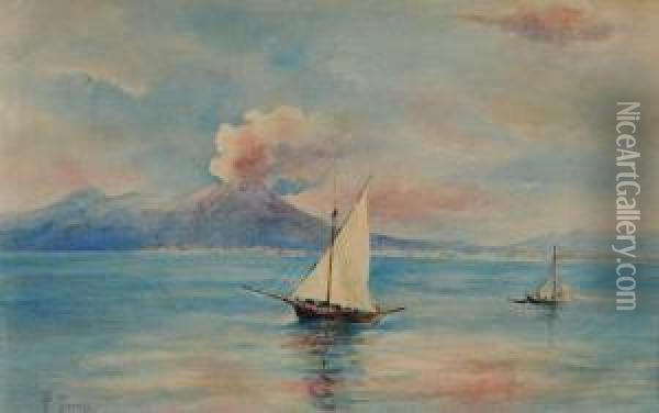 Veduta Del Vesuvio Dal Mare Conimbarcazioni Oil Painting - Francesco Saverio Torcia