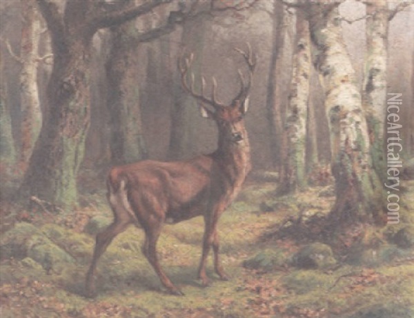 A Deer In The Forest Oil Painting - Rosa Bonheur