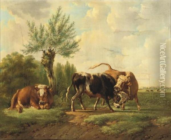 Fighting Bulls Oil Painting - Albertus Verhoesen