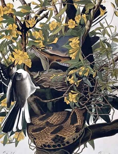 Mocking Birds and Rattlesnake, from 'Birds of America' Oil Painting - John James Audubon