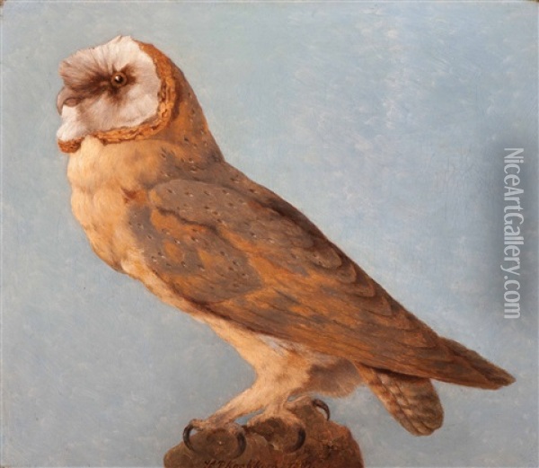 Barn Owl Oil Painting - Hendrik Pieter Koekkoek