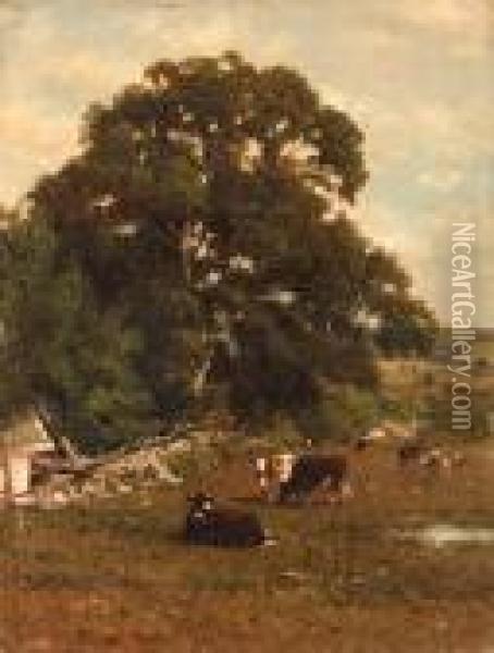 Cows In A Pasture Oil Painting - James McDougal Hart