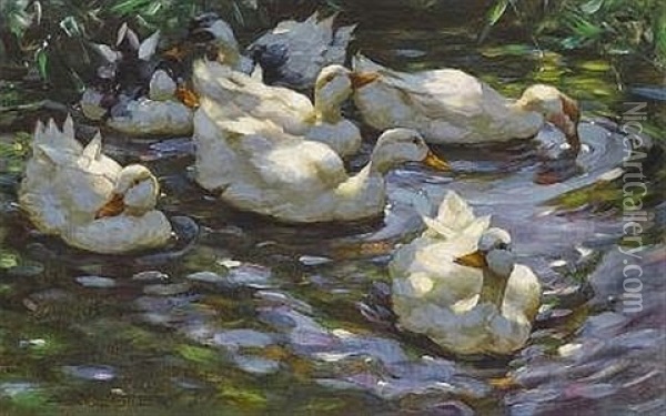 Sieben Enten Im Wasser Oil Painting - Alexander Max Koester
