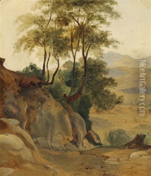 Italian Landscape With Rocks And Tall Trees Oil Painting - Frederik (Fritz) Petzholdt