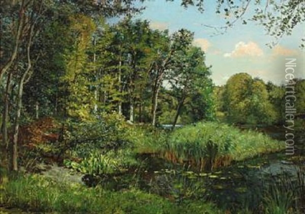 Forest Scenery With Waterlilies And Reed Along The Lakeshore Oil Painting - Karl Peter August Schlichting-Carlsen