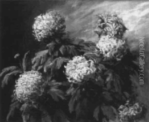 Chrysanthemes Oil Painting - Arthur Midy