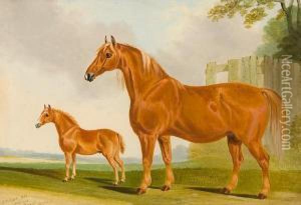 Suffolk Mare And Foal Oil Painting - John R. Hobart