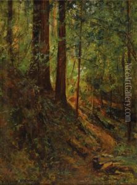 Forest Scene Oil Painting - David Howard Hitchcock