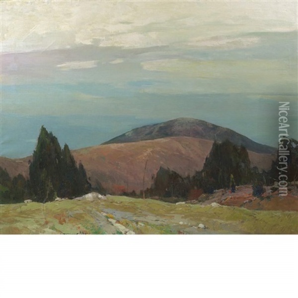 Mount Lovewell Near Hillsborough, New Hampshire Oil Painting - Chauncey Foster Ryder