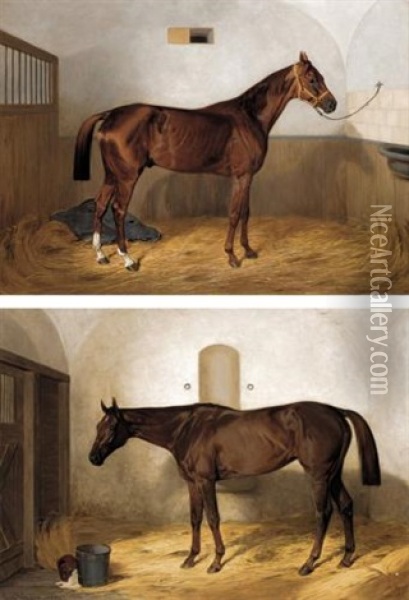 Portrait Of A Race Horse In A Stable (pair) Oil Painting - Emil Adam