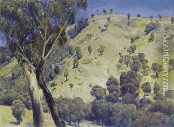 Dandenong Landscape Oil Painting - Thomas William Roberts