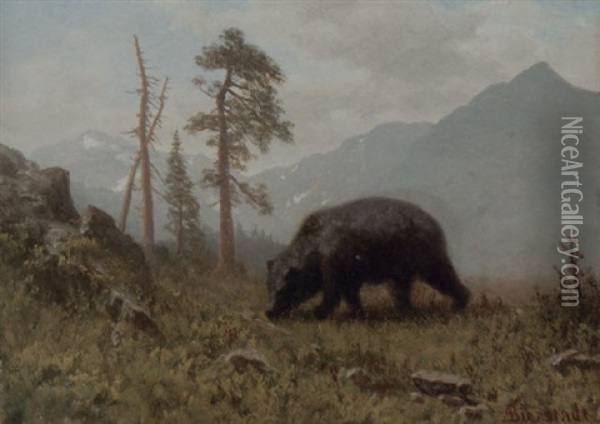 A Grizzly Bear Oil Painting - Albert Bierstadt