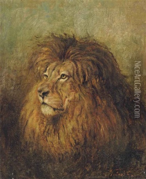 A Lion Oil Painting - Geza Vastagh