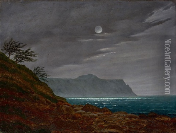 Moonlit Night On The Island Of Rugen Oil Painting - Johann Friedrich Boeck