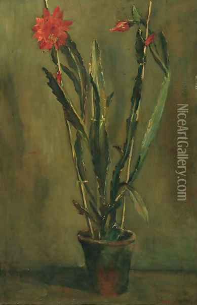 Flowering cactus in a pot Oil Painting - Willem Maris