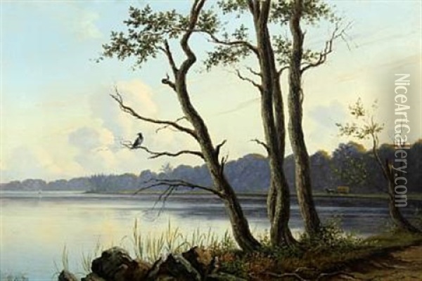 Scenery From The Brink Of A Lake With A Crow In A Tree Oil Painting - Peter (Johann P.) Raadsig