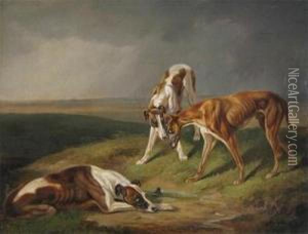 Three Lurchers In A Landscape Oil Painting - Patrick William Adam