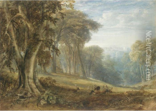 View Of Arundel Castle From Arundel Park, West Sussex Oil Painting - Anthony Vandyke Copley Fielding