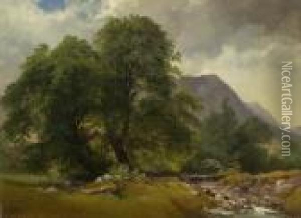 Hohe Baume Am Bachufer Oil Painting - Karl Michael Geyling