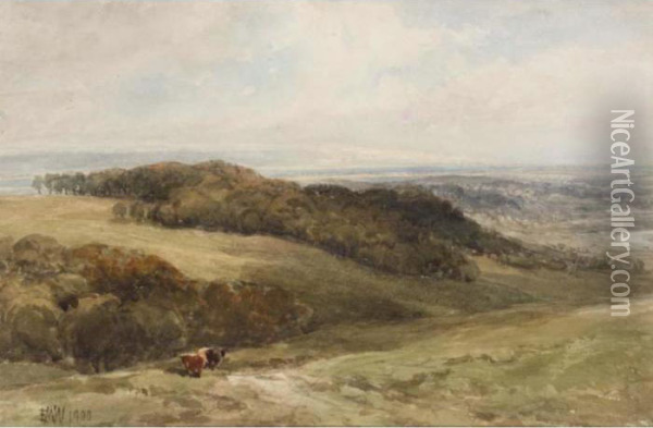 Cattle In A Valley Oil Painting - Edmund Morison Wimperis