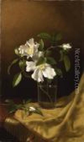 Cherokee Roses In A Glass On Gold Velvet Plush Oil Painting - Martin Johnson Heade