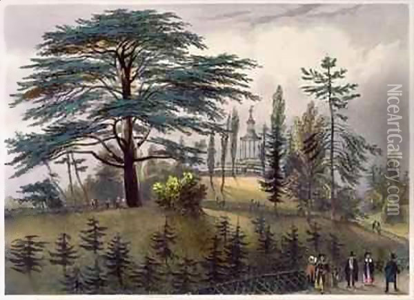 The Cedar of Lebanon and the Labyrinth at the Jardin des Plantes, Paris Oil Painting - Philippe Benoist