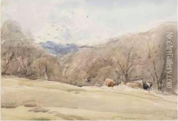 Cattle On A Wooded Bank Oil Painting - David I Cox