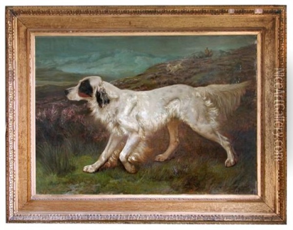 Portrait Of Dash, Ft Ch. Dash Ii (kcsb 4039), An English Setter, With Another Setter Behind Him, Flushing Grouse On Moorland, With Sportsmen Behind Oil Painting - John Charles Dollman