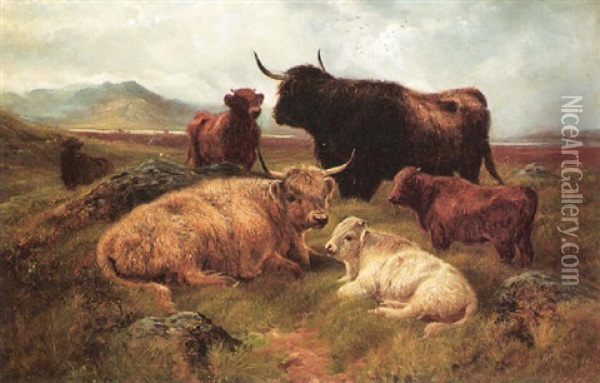 Highland Cattle Resting Oil Painting - Robert F. Watson