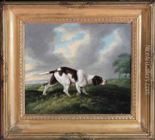 A Portrait Of A Pointer In A Landscape Oil Painting - John Nost Sartorius