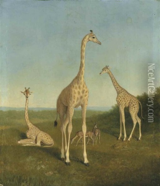 Giraffes With Impala In A Landscape Oil Painting - Jacques-Laurent Agasse