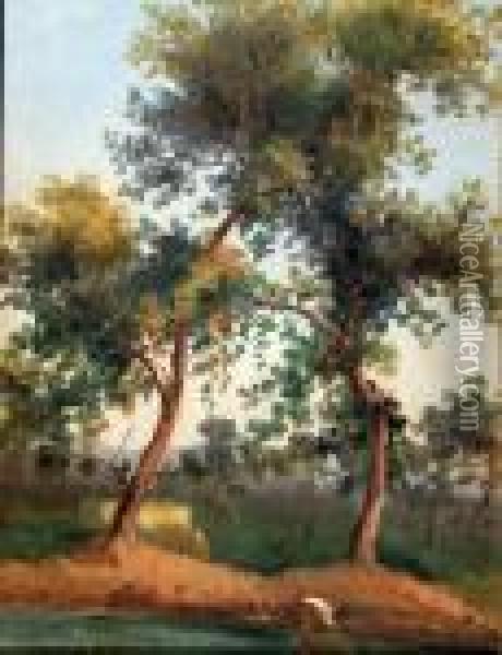 Paesaggio Oil Painting - Domenico Ammirato