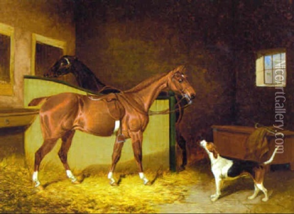 Two Bay Hunters With A Foxhound In A Stable Oil Painting - Colin Graeme