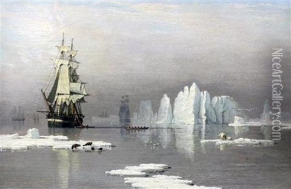 Sailing Ships In The Arctic With Polar Bears And Seals Oil Painting - John Ward Of Hull