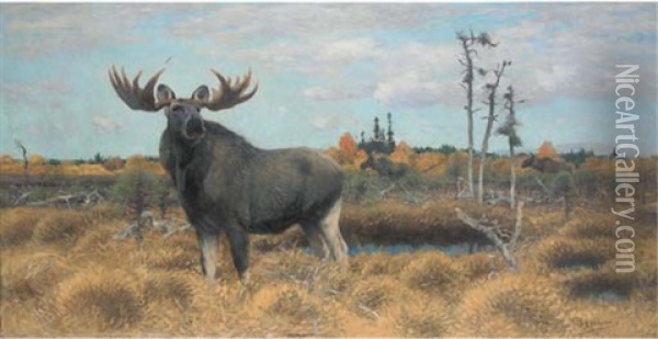 Elks In A Swedish Landscape Oil Painting - Wilhelm Friedrich Kuhnert