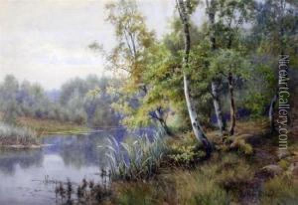 Birch Trees Beside A River Oil Painting - Walter Follen Bishop