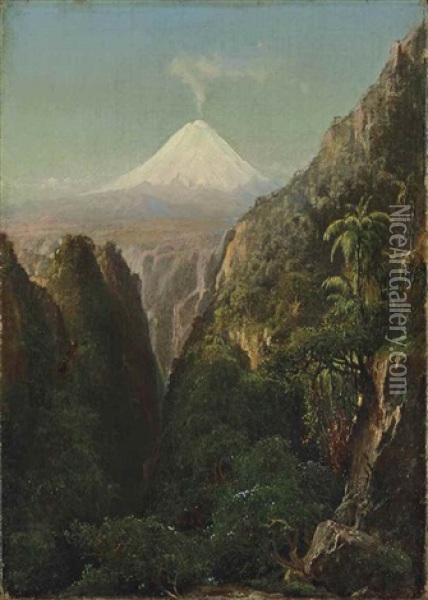 Le Sommet De Palomar Dans Les Andes Au Chili Oil Painting - Henry A. Ferguson
