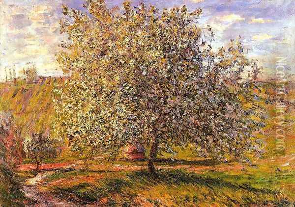 Tree in Flower near Vetheuil Oil Painting - Claude Oscar Monet