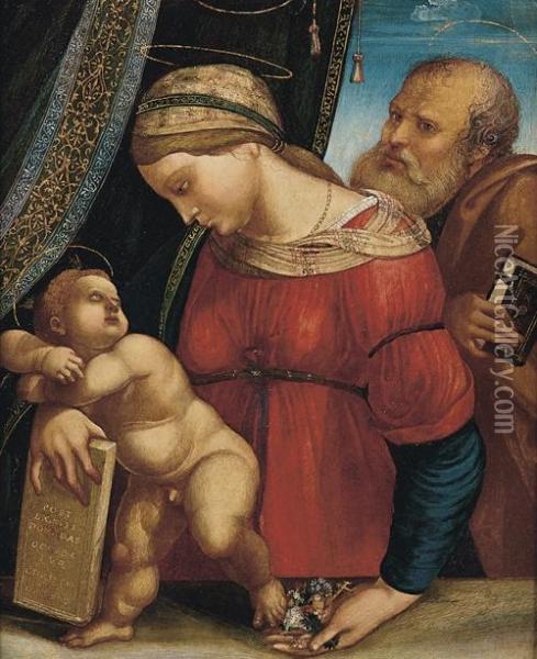 Sacra Famiglia Oil Painting - Girolamo Marchesi da Cotignola