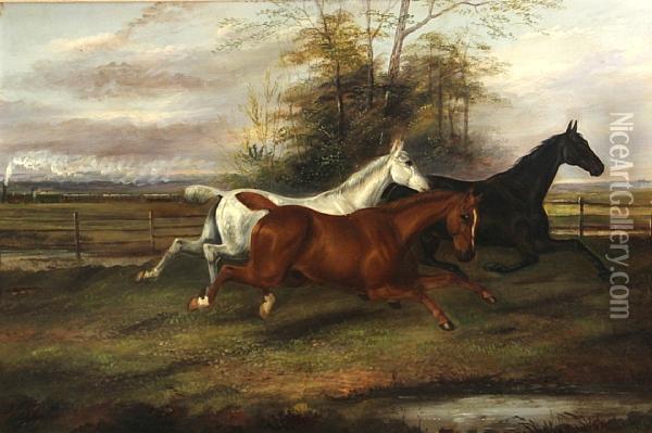 At Full Gallop Oil Painting - James Senior Clark