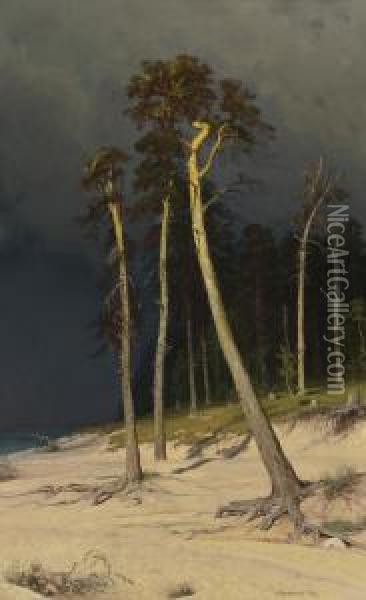 Sandy Coastline Oil Painting - Ivan Shishkin