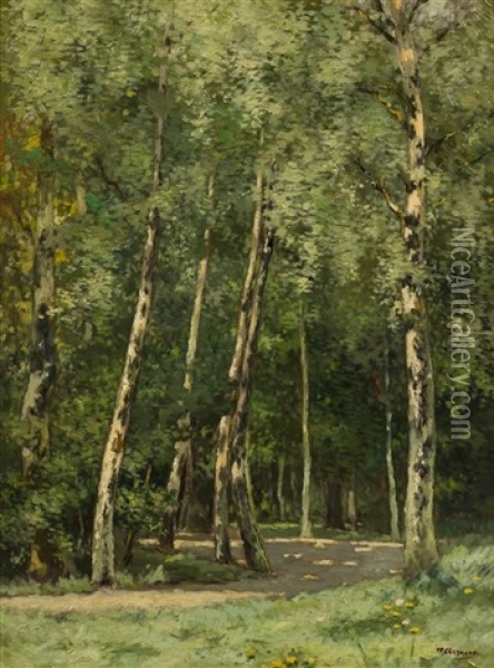 Sunny Forest Oil Painting - William Clusmann
