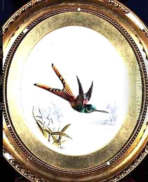Sappho Cornel, hummingbird Oil Painting - Harry Bright