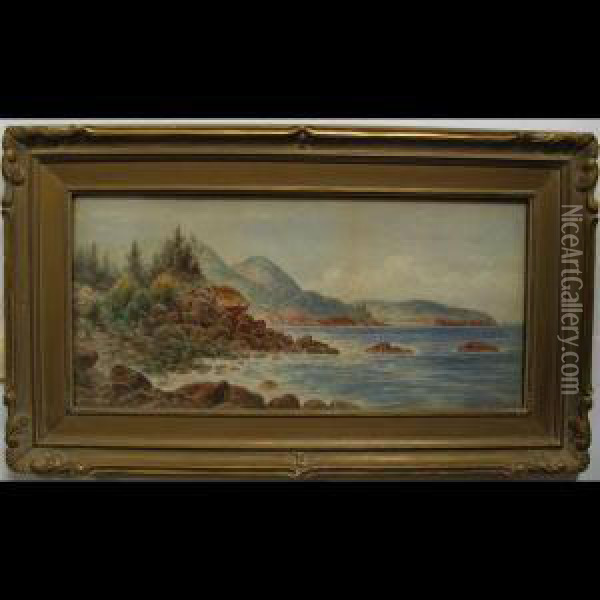 On The Coast Of Maine Oil Painting - Frederick Arthur Verner