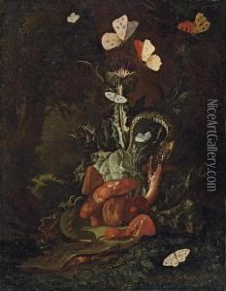A Forest Floor Landscape With A Thistle, Funghi, Moths, A Lizard And Snakes Oil Painting - Carl Wilhelm de Hamilton