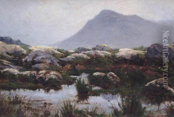 Norwegische Landschaft Oil Painting - Henry Enfield
