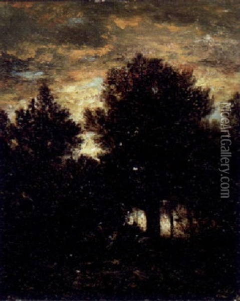 Forest Landscape Oil Painting - David Johnson